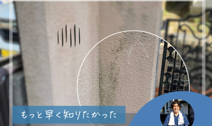 佐倉市外壁塗装、施工事例、門塀塗装