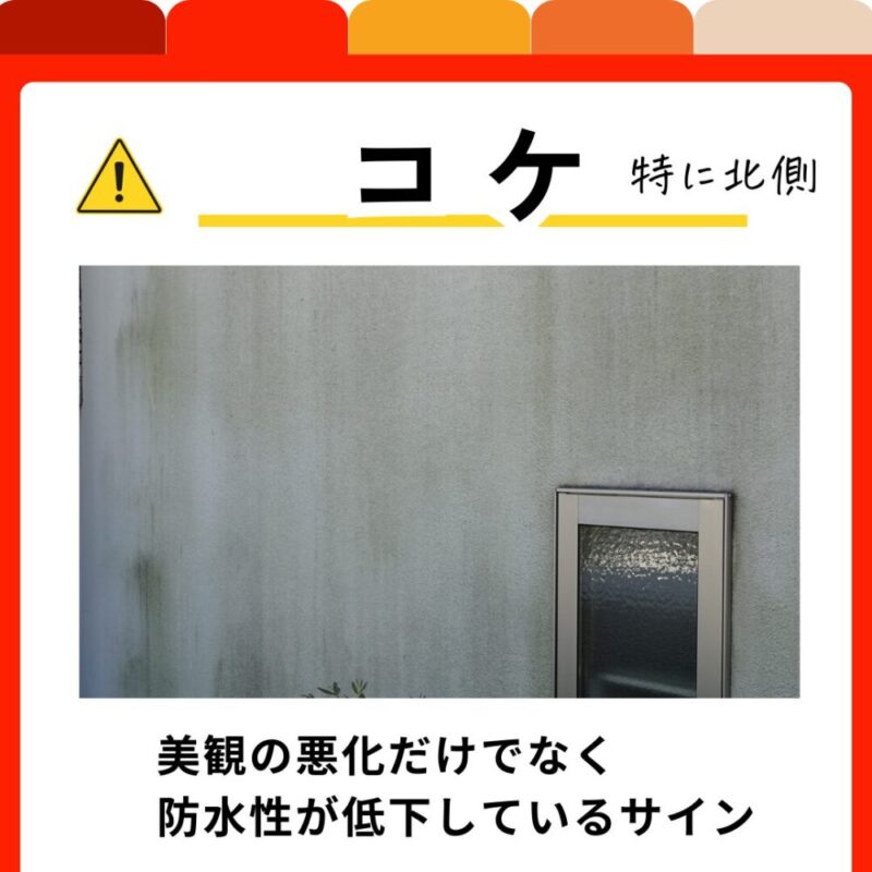 佐倉市外壁塗装、外壁点検、傷みのサイン、苔、カビ