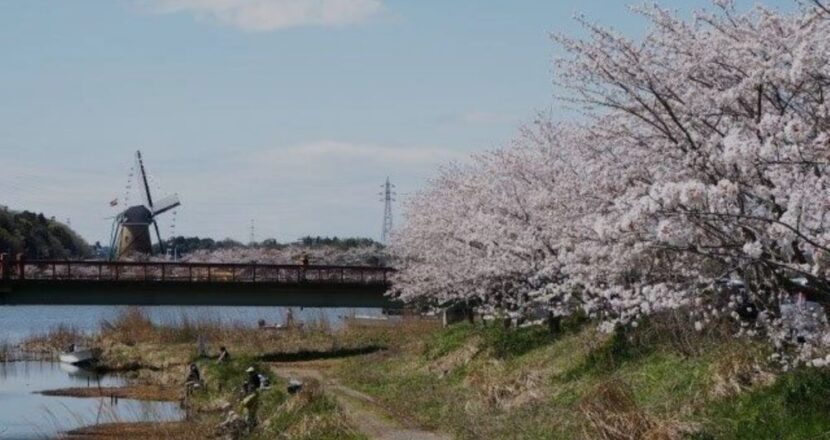 佐倉市外壁塗装ファースト・リフォーム会社概要