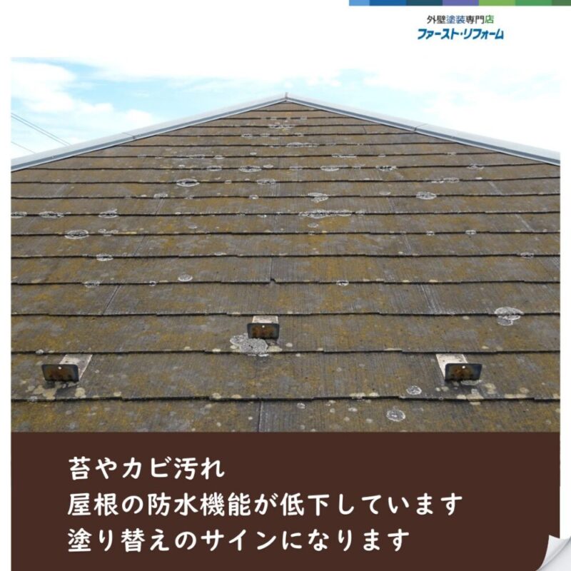 佐倉市臼井、屋根塗装、苔汚れ