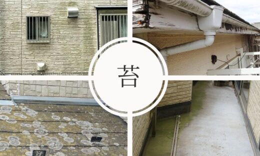 佐倉市外壁塗装苔汚れ