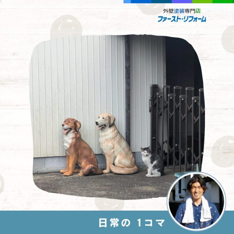 佐倉市外壁塗装、日常ブログ