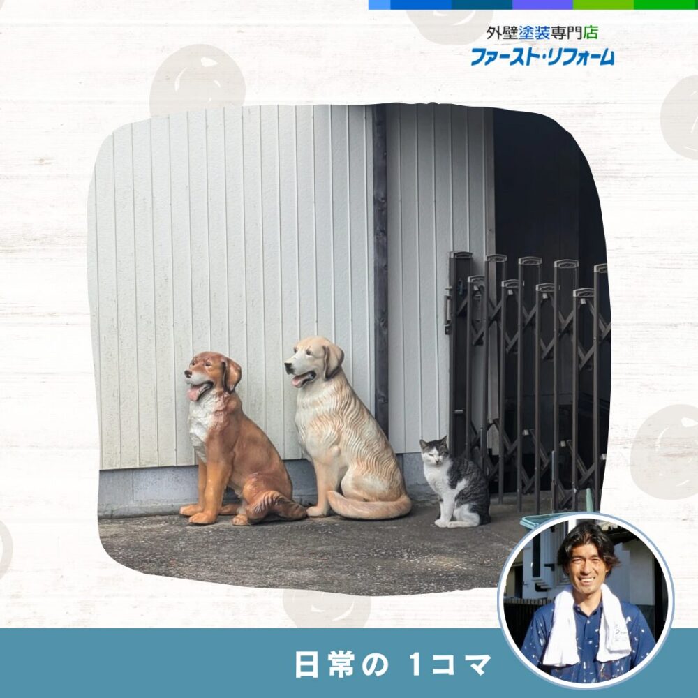 佐倉市外壁塗装、日常ブログ
