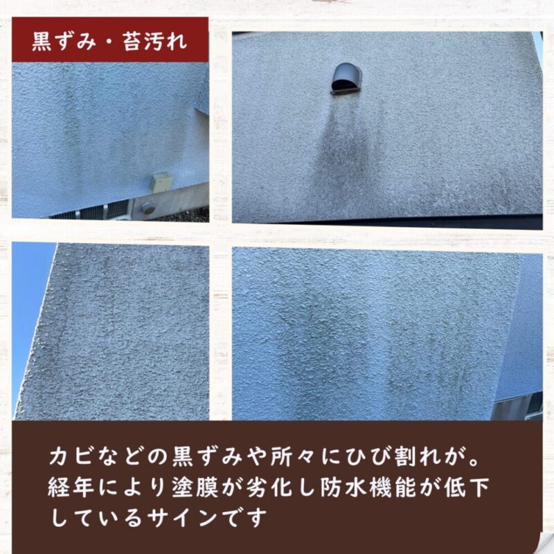 印西市高花、外壁塗装、外壁の苔汚れ、防汚塗料、黒ずみ