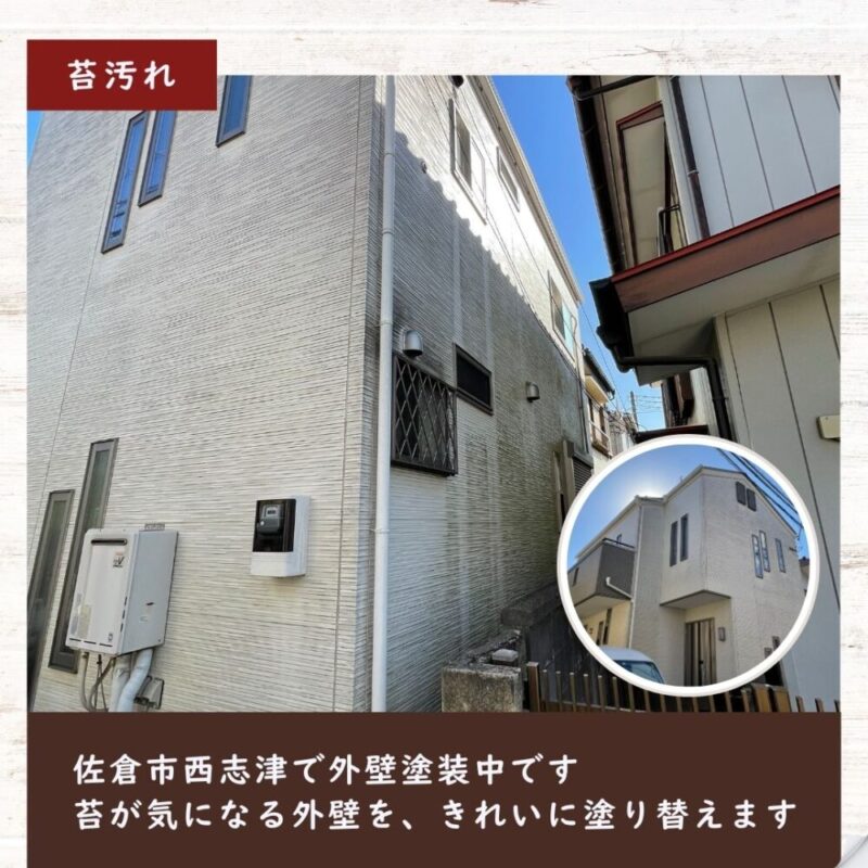 佐倉市西志津外壁塗装、苔汚れ、日陰