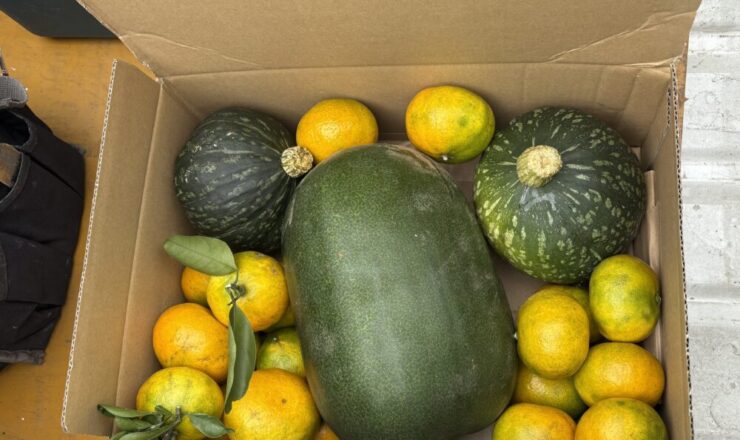 佐倉市外壁塗装をご依頼頂いたお客様より頂きもの