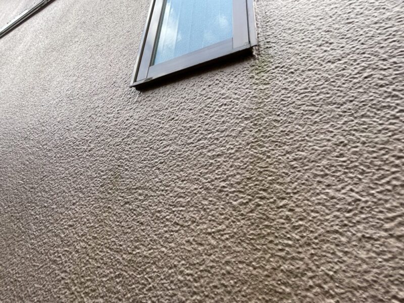 佐倉市白銀、外壁塗装前、苔