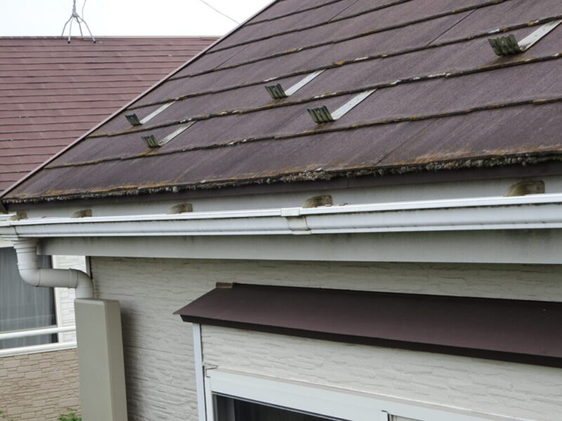 佐倉市大蛇町、雨どいの汚れ